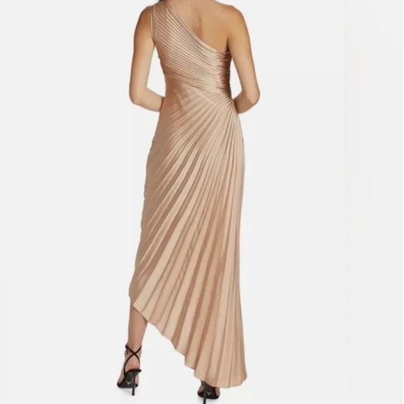 A.L.C. Delfina Asymmetrical Pleated Dress NWT Size 6 Champagne - Picture 3 of 10